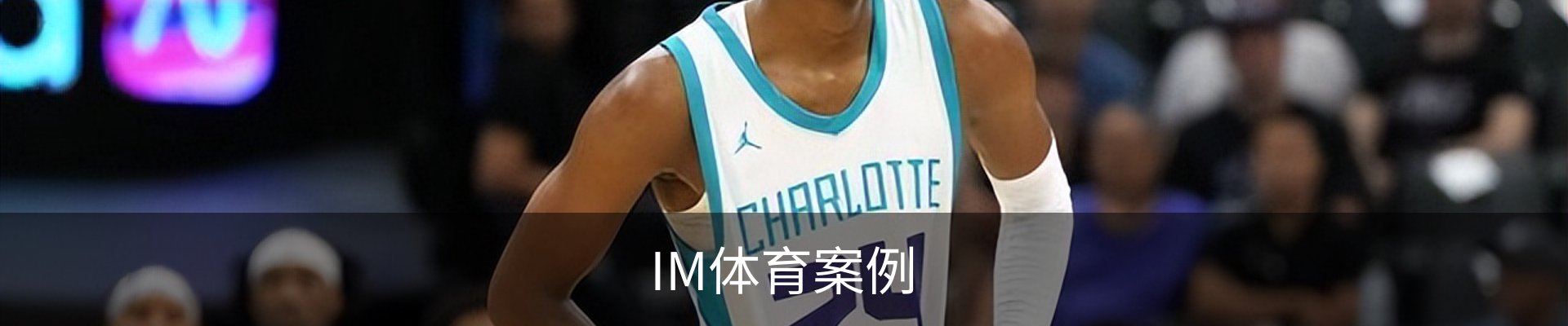 IM体育案例